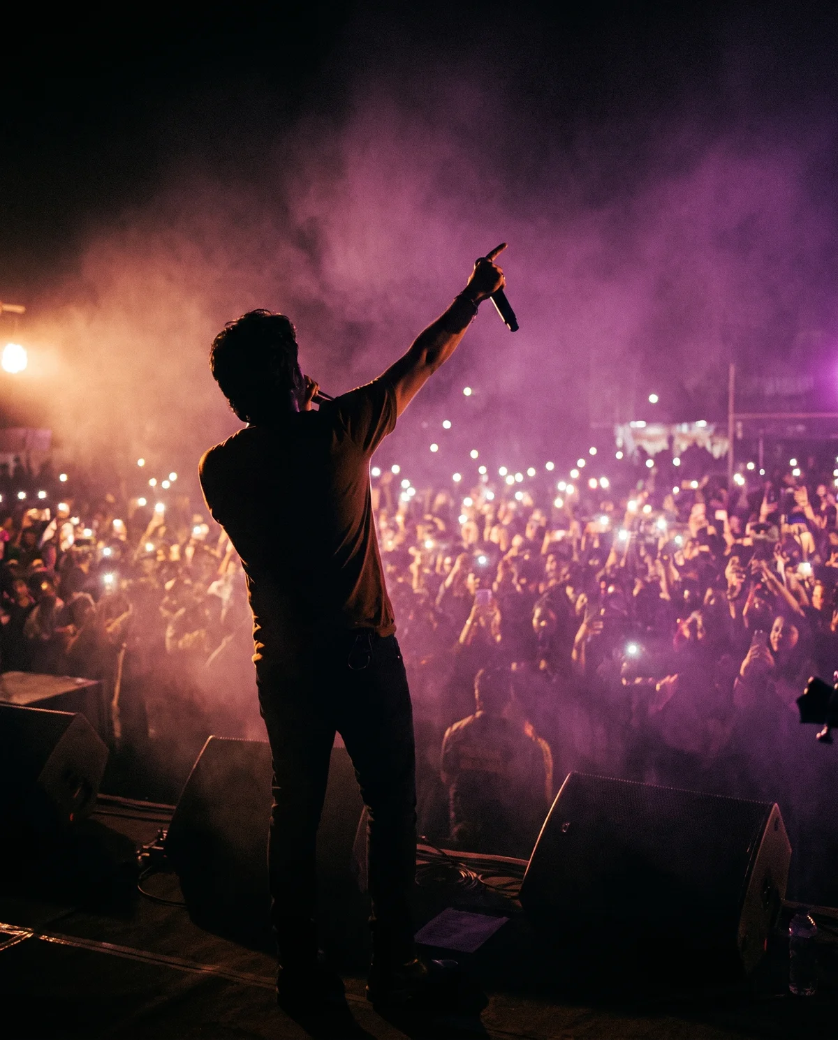 A singer seen from behind on stage, facing a crowd holding up phone lights